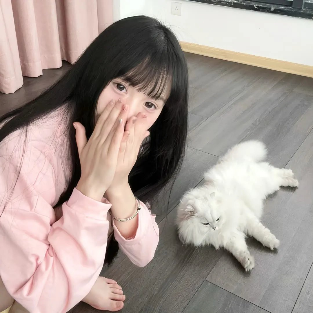 关于帕姆的那些事