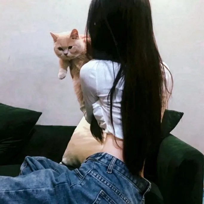 窃听风云